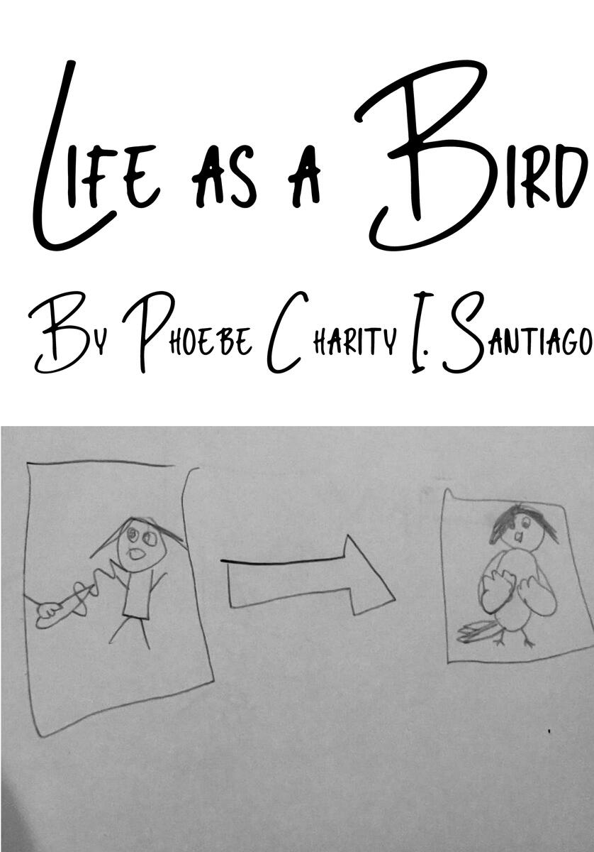Life as a Bird