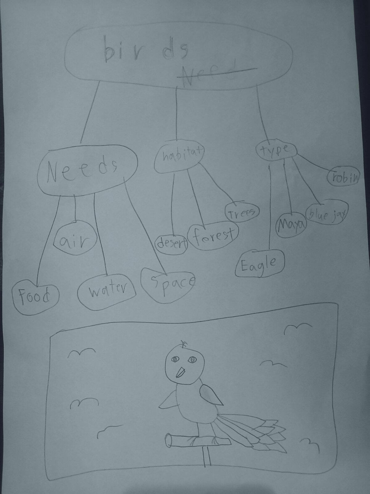 Phoebe's Homeschooling